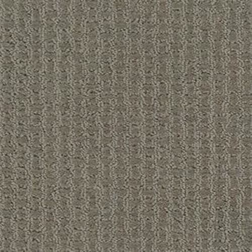 COMPLETE CONTROL in Abbey Stone Carpet