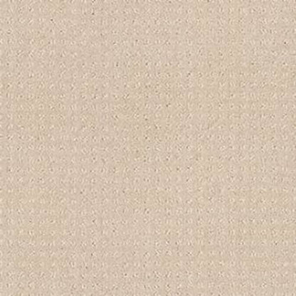 PERPETUAL MOVE in Barista Carpet