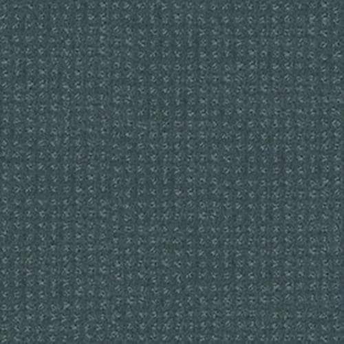 ALLURING DISPOSITION