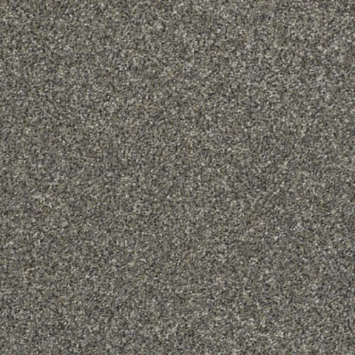 ALL OVER IT I in Granite Dust Carpet