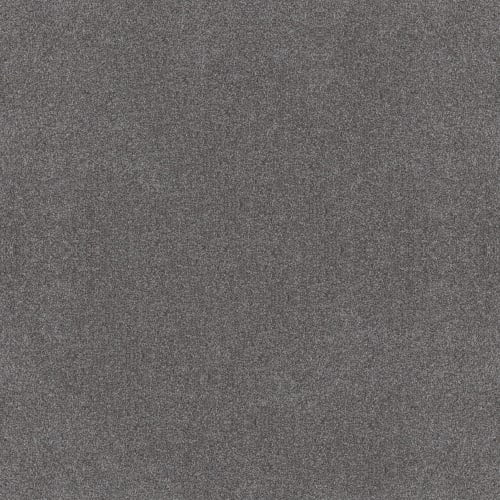ALL OVER IT II in Sparrow Carpet