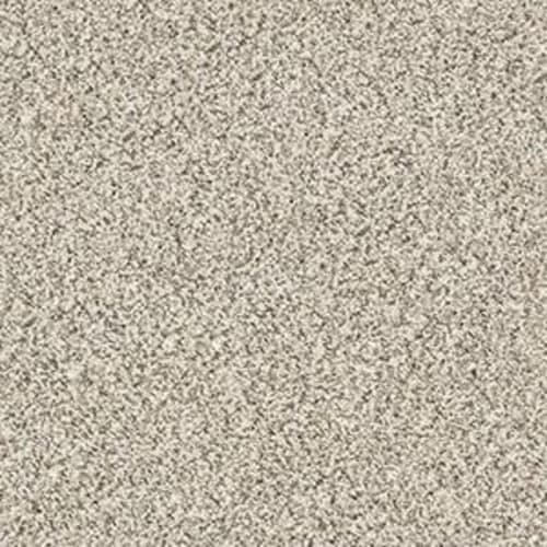 ALL SET I in Goose Feather Carpet