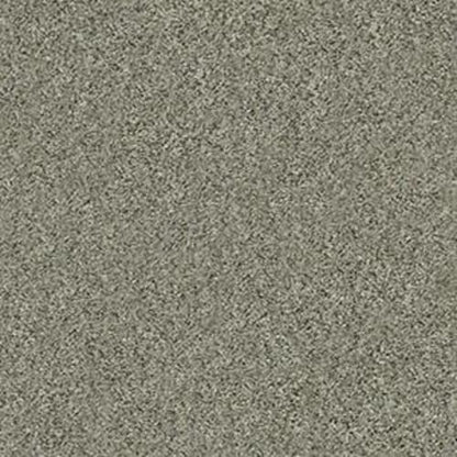 ALL SET II in Beach Walk Carpet