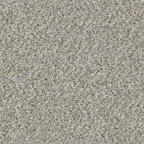 CABANA BAY (B) in Stone Carpet