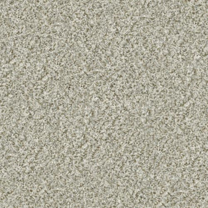 CABANA LIFE (B) in Seashell Carpet