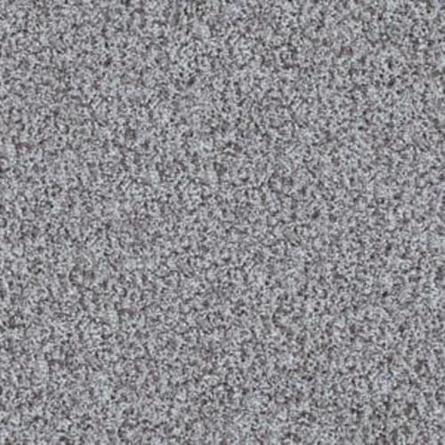 COOL FLAIR in Dolphin Carpet
