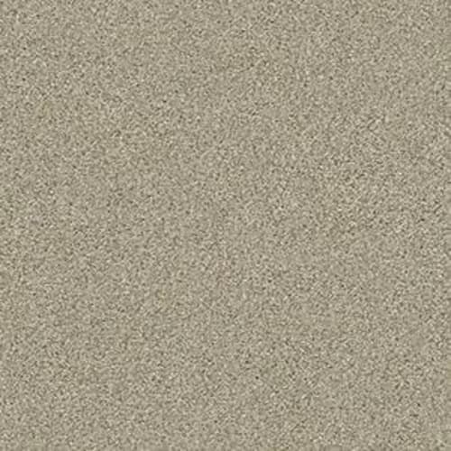 MOMENTUM I in Plaza Carpet