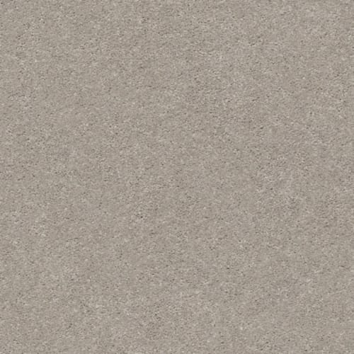 MOMENTUM II in Boutique Carpet