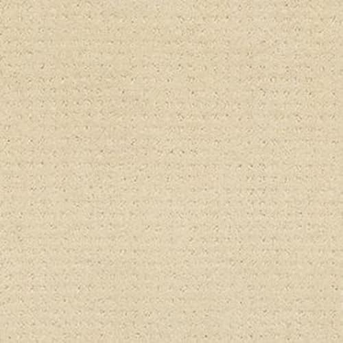 In Savannah in Airy White Carpet