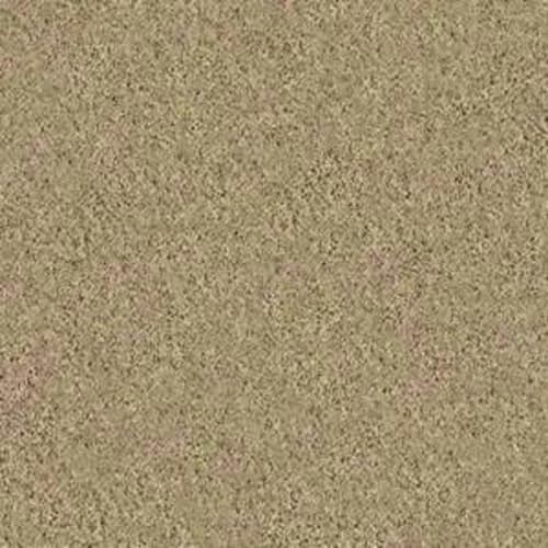Loyal Beauty I in Taffeta Carpet