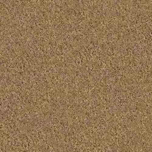 Loyal Beauty II in Honey Pot Carpet
