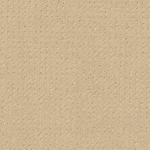 Loyal Beauty Pattern in French Linen Carpet