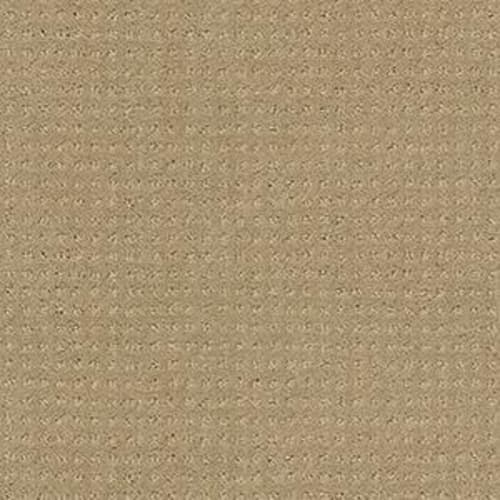 Loyal Beauty Pattern