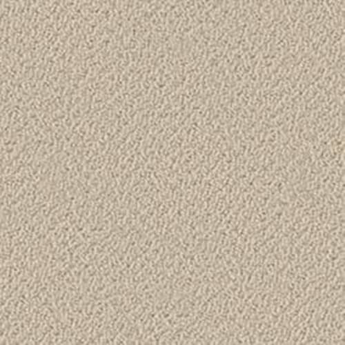 Sincere Beauty Loop in Clay Stone Carpet