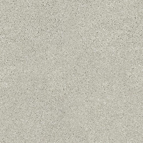 Inspiring in Cold Water Carpet