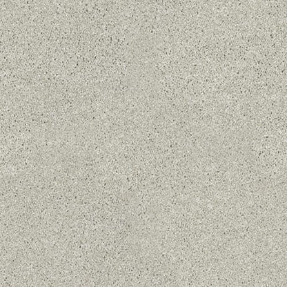 Inspiring in Cold Water Carpet