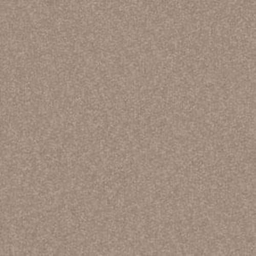 Shingle Creek I 12 in Oatmeal Carpet