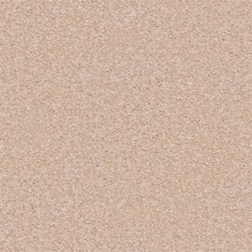Shingle Creek II 12' in Stucco Carpet