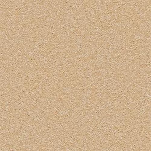 Shingle Creek II 12'