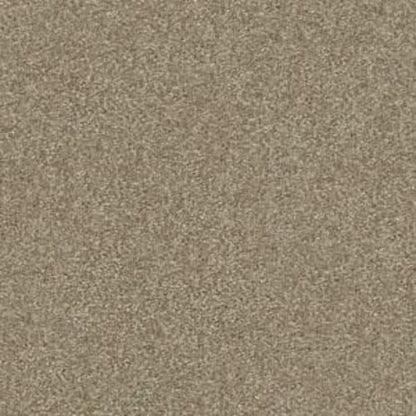 Shingle Creek III 12' in Chinchilla Carpet