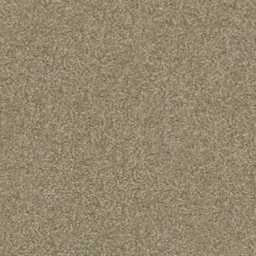 Shingle Creek III 12' in Chinchilla Carpet