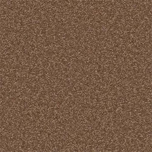 Shingle Creek IV 12' in Pine Cone Carpet