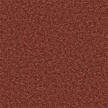 Shingle Creek IV 15' in Spanish Tile Carpet