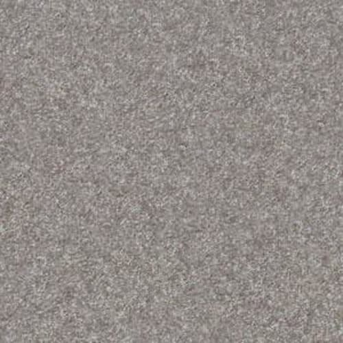 Dakota Springs in Pewter Carpet