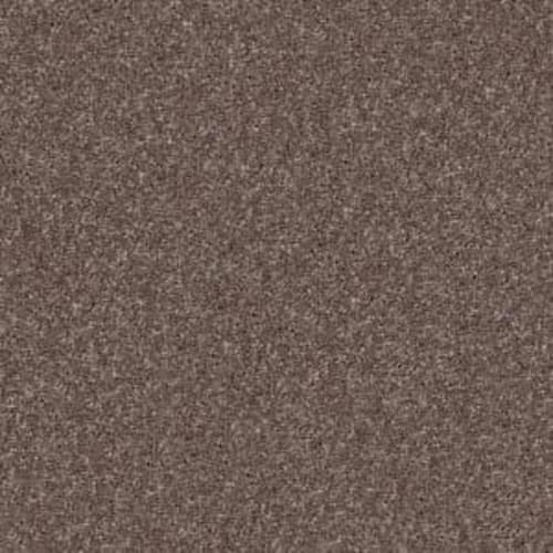 Look Forward in Rustic Taupe Carpet