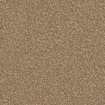 Majority Rules in Bridgewater Tan Carpet
