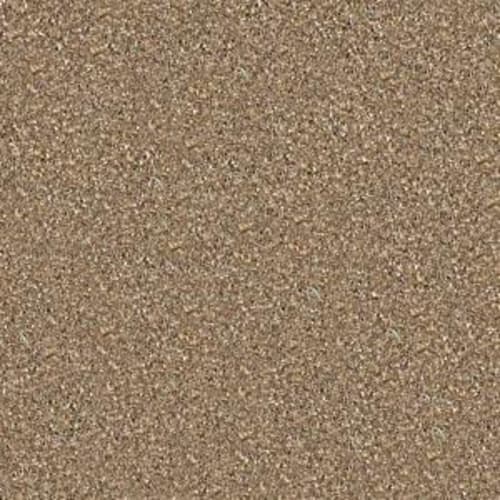 Majority Rules in Bridgewater Tan Carpet