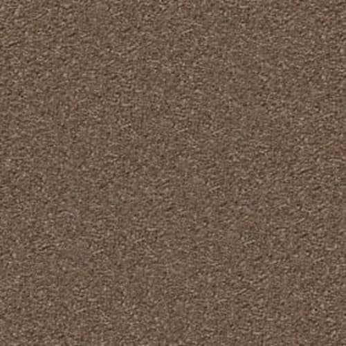 Jealousy in Brushed Suede Carpet