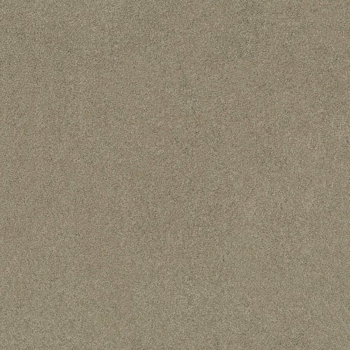 SOURCE II in Gray Flannel Carpet