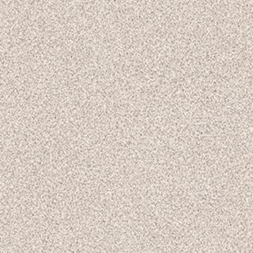 EXPLORATION in Parchment Carpet