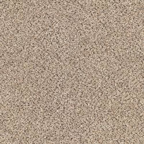 GOLD TEXTURE ACCENTS in Midtown Carpet