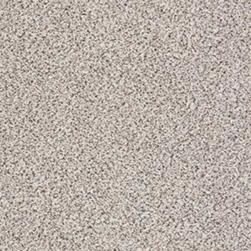 PLATINUM TEXTURE ACCENTS in Carrara Carpet