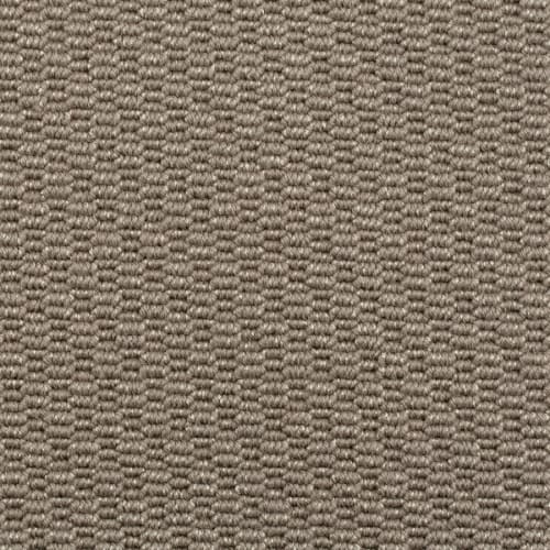 Elegance in Truffle Carpet