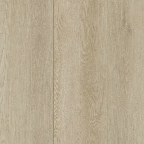 Amber Escape in Foley