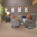 Complete Allure (S) in Pebble Carpet