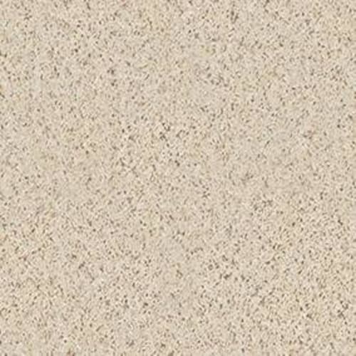 Complete Allure (B) in Outer Bank Carpet