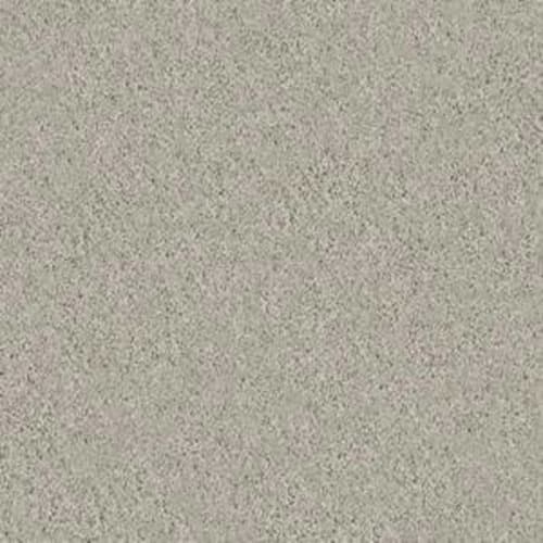 STEP RIGHT UP II 12' in Dove Tail Carpet