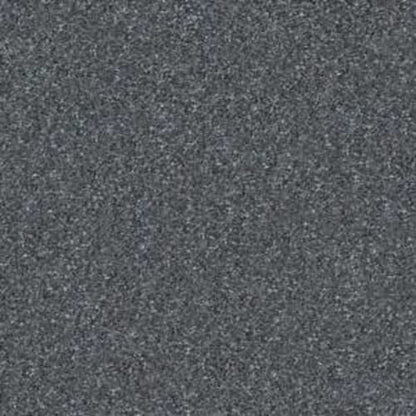 STEP RIGHT UP I 15' in Charcoal Carpet