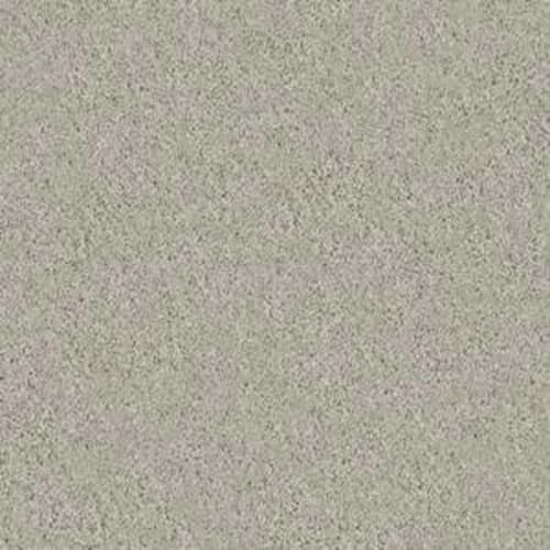 STEP RIGHT UP II 15' in Dove Tail Carpet