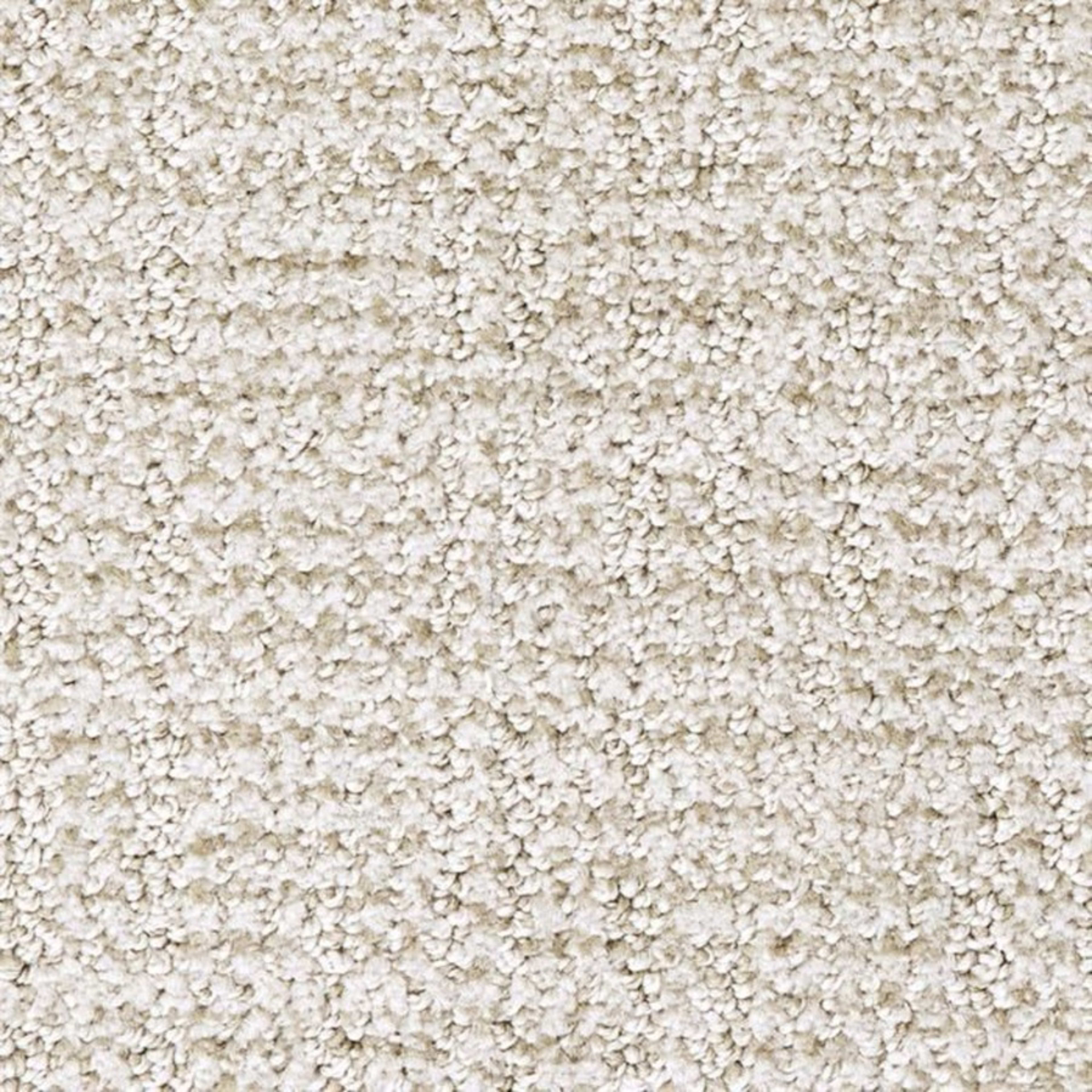 Nueva Vista in Piel Carpet