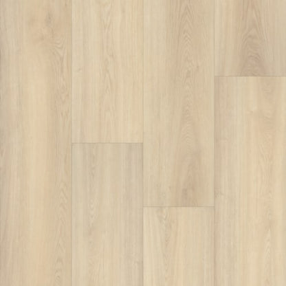 Prime XL 12 Collection