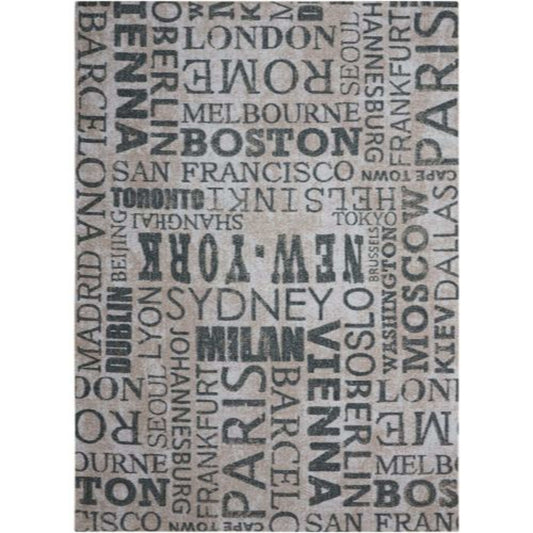 Sun N' Shade SND10 in Graphite Area Rugs