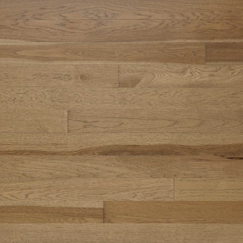 Signature Solid Hickory Excel 2.25"