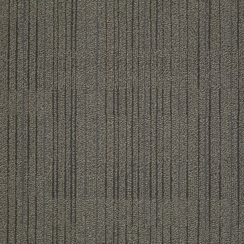 Immerse in Involve Carpet