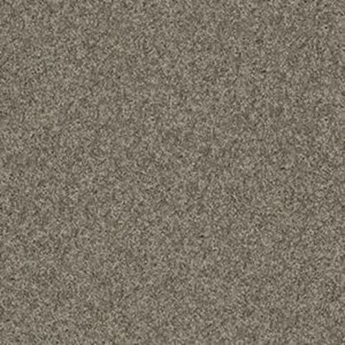 Butterfly Kisses 1 in Grey Stone Carpet