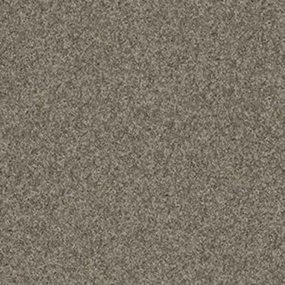 Butterfly Kisses 1 in Grey Stone Carpet